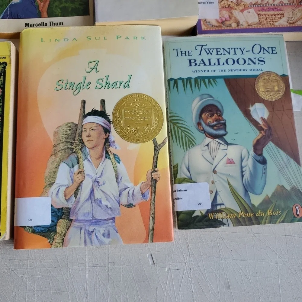 Lot of 22 Books Level 6/7 RL Misc Titles MIX Youth Teacher Library Homeschool